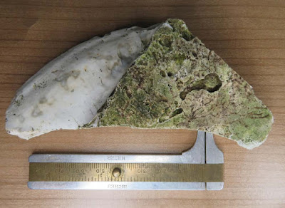 Obviosly Worked Horse Head in Tabular Flint